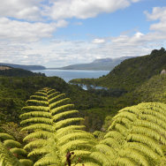 North Island, New Zealand