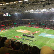 Wales vs Springboks, Principality Stadium, Cardiff