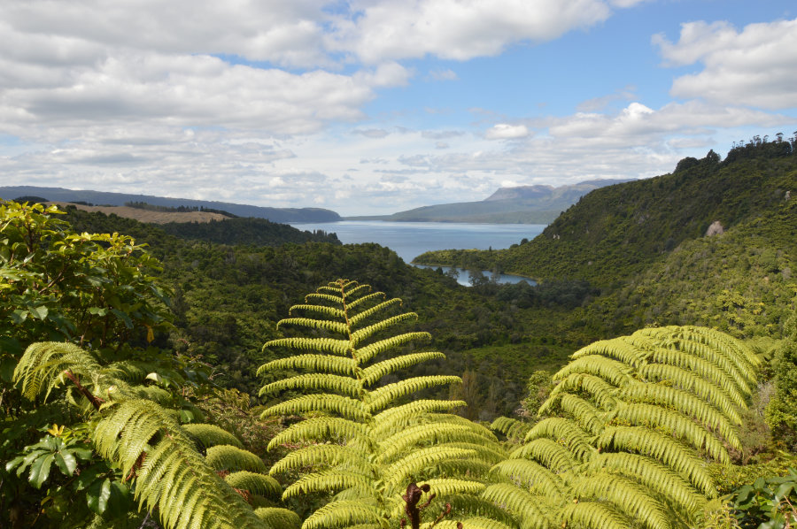 North Island, New Zealand