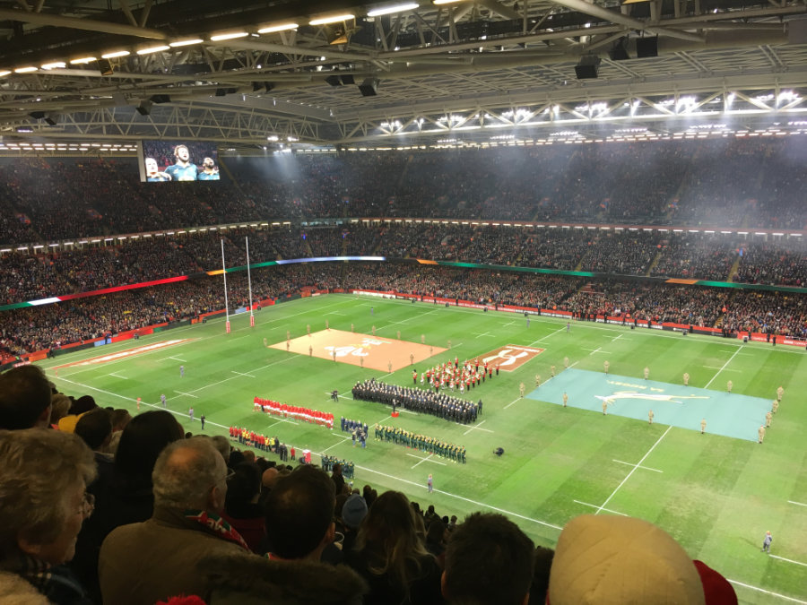 Wales vs Springboks, Principality Stadium, Cardiff